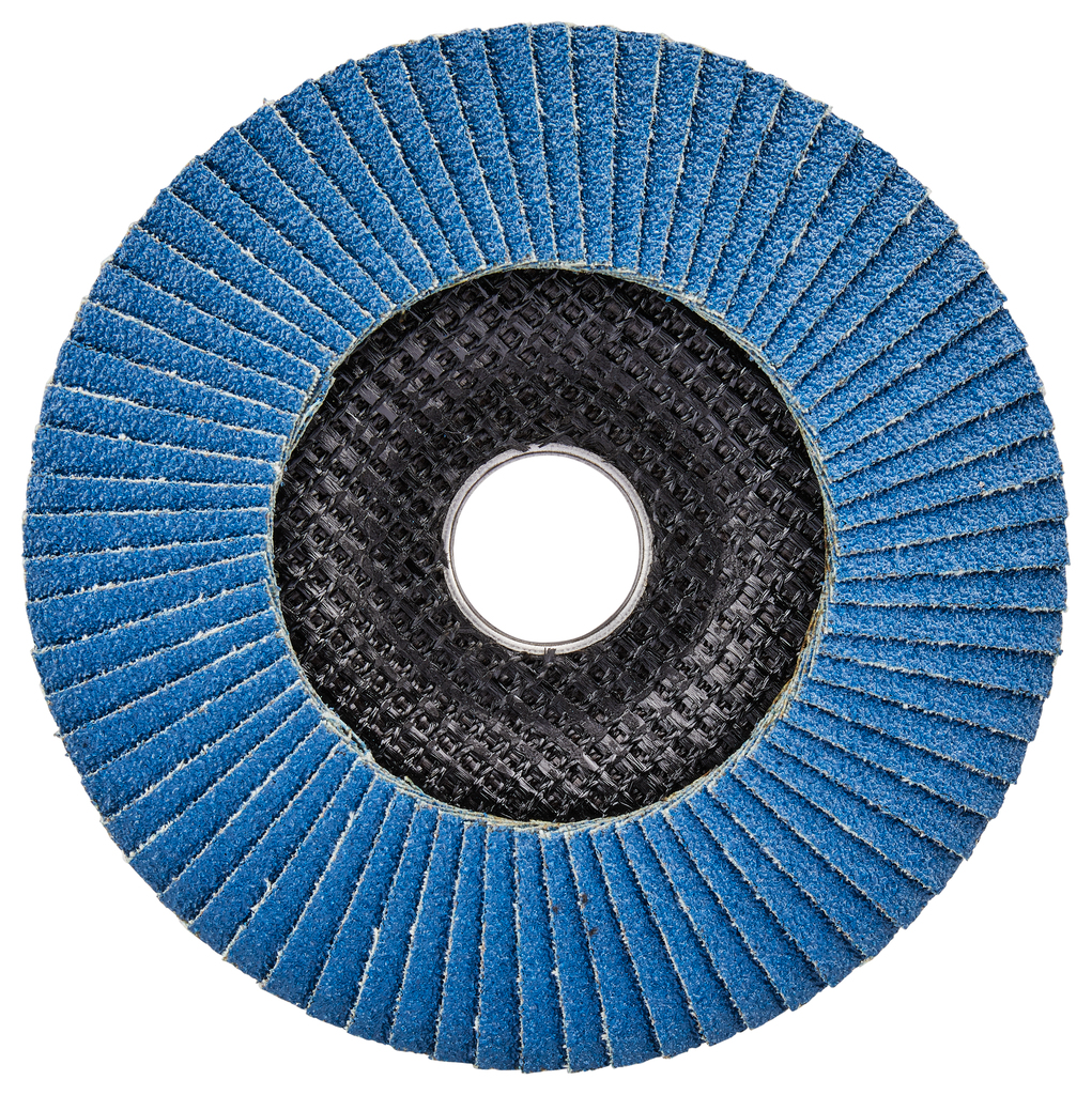 Lamellenschuurschijf 125mm Z80