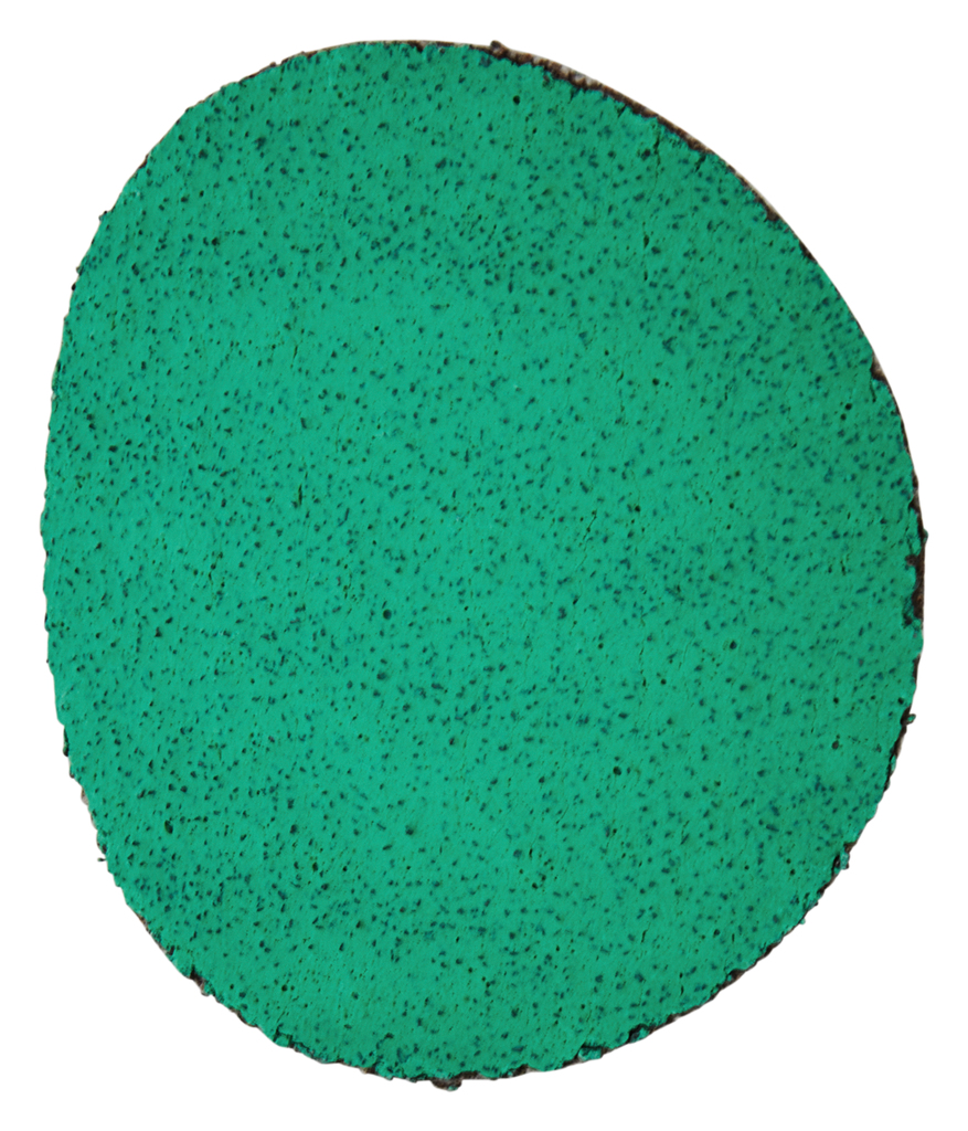 Schuurschijf 50mm Z80