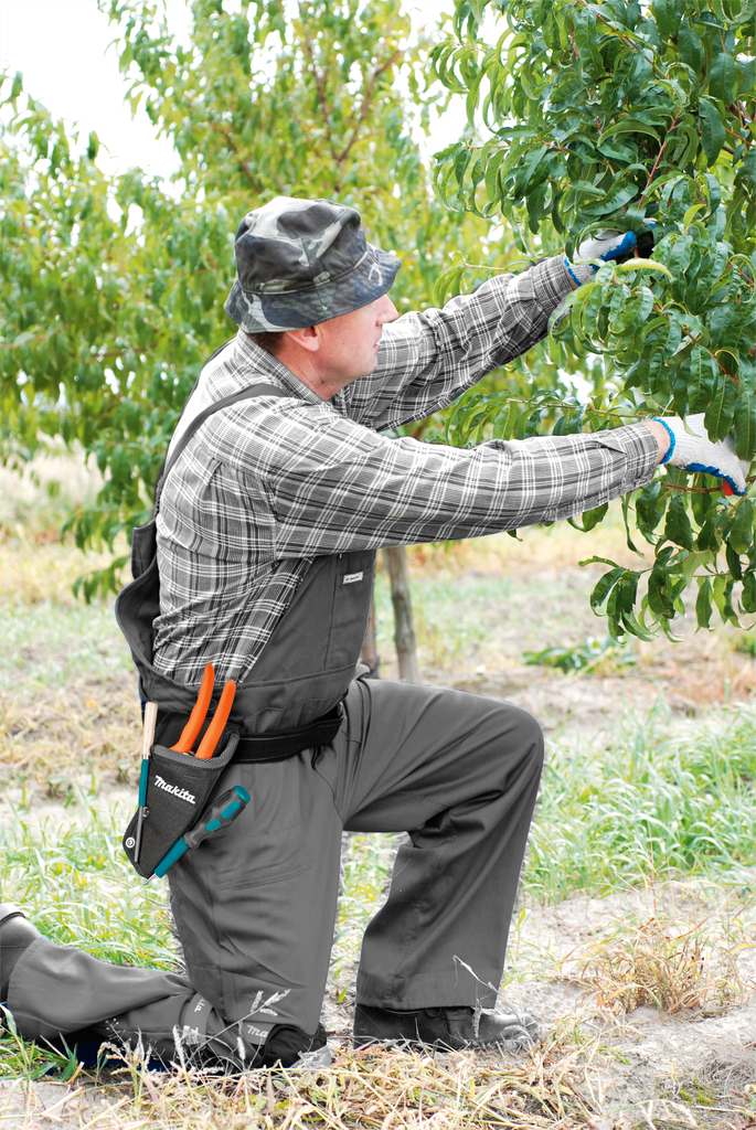 Veiligheidsmes-/gereedschapshouder