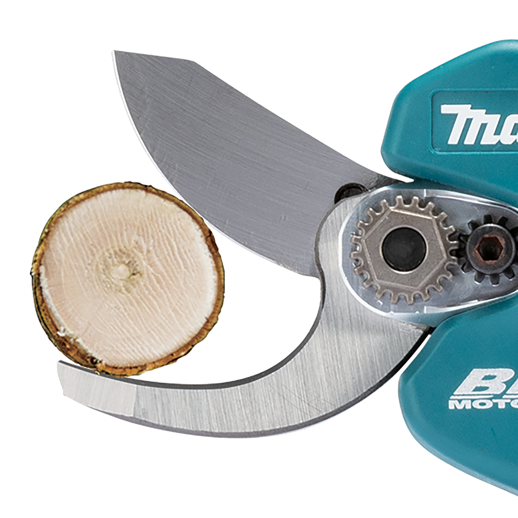 LXT 18 V Snoeischaar 