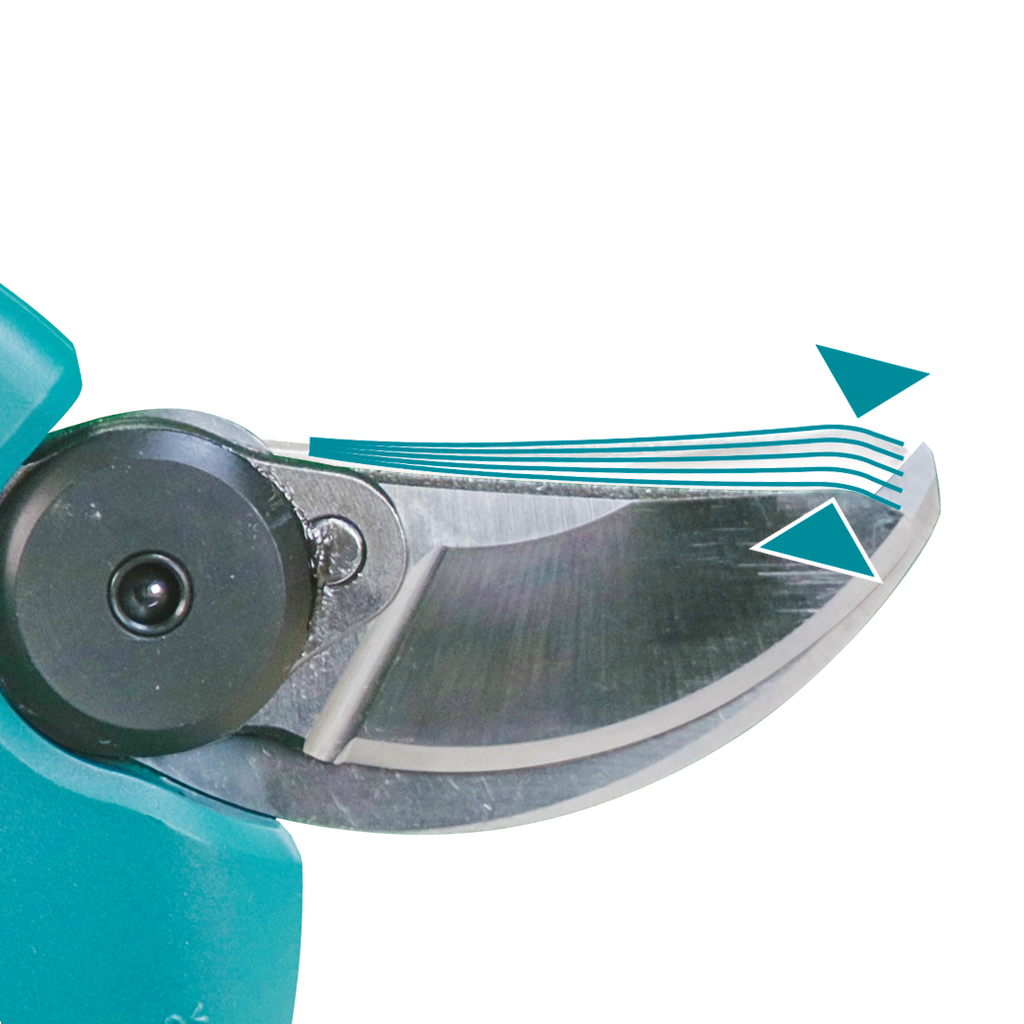 CXT 12 V Max Snoeischaar